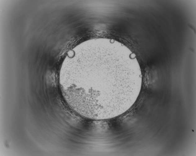 X0000103940520200810311528