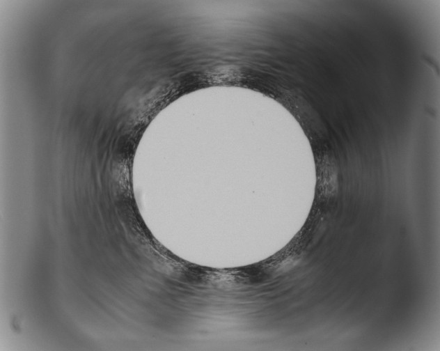 X0000103940523200810311528