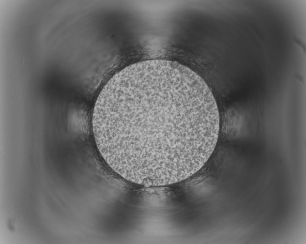 X0000103940524200810311528