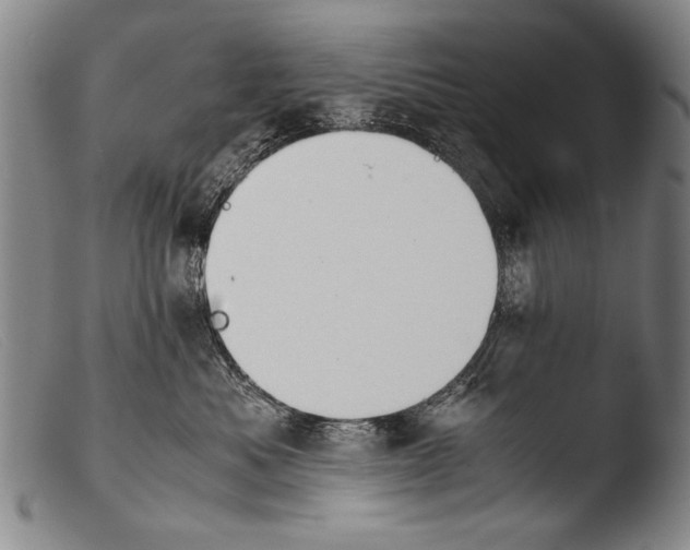 X0000103940525200810311528