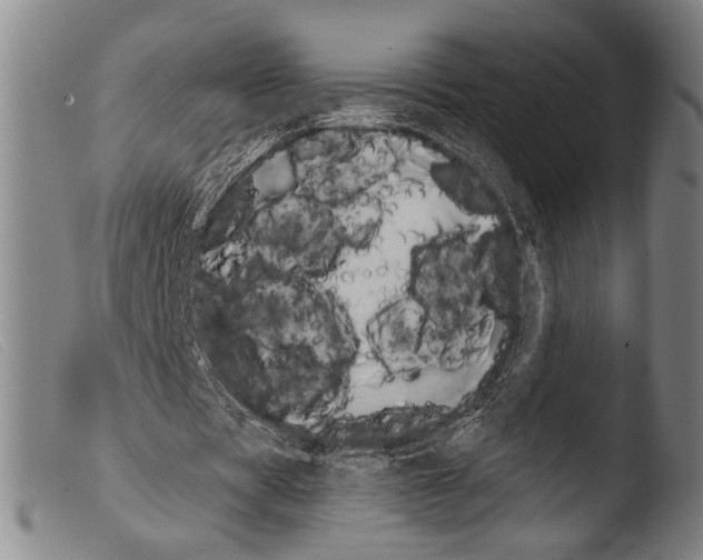 X0000103940529200810311527