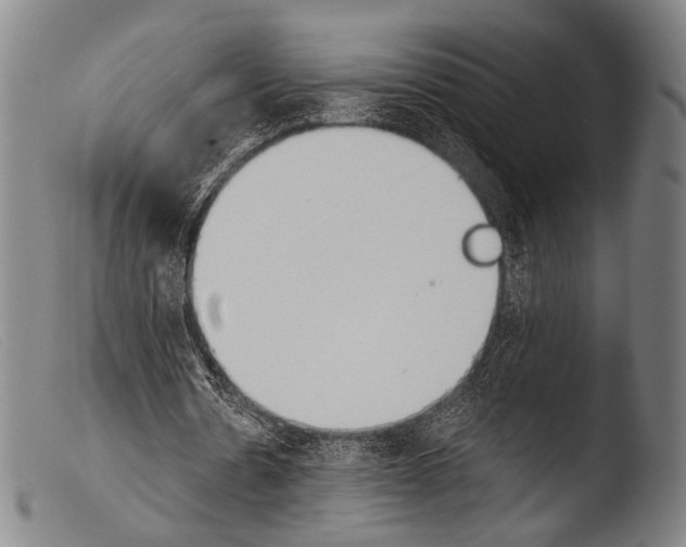 X0000103940530200810311527