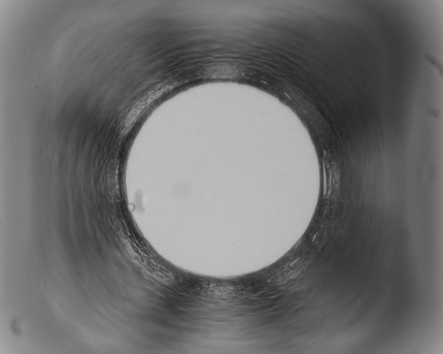 X0000103940531200810311527