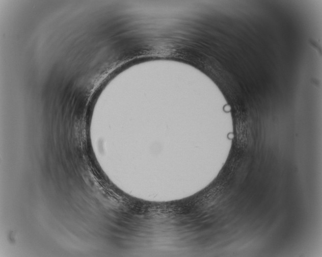 X0000103940532200810311527