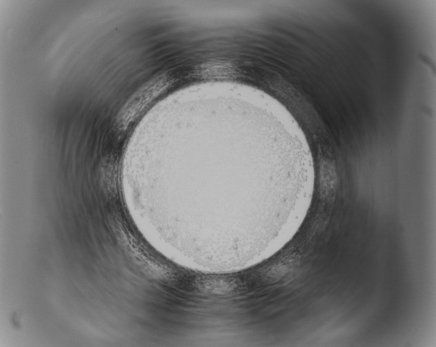 X0000103940533200810311527