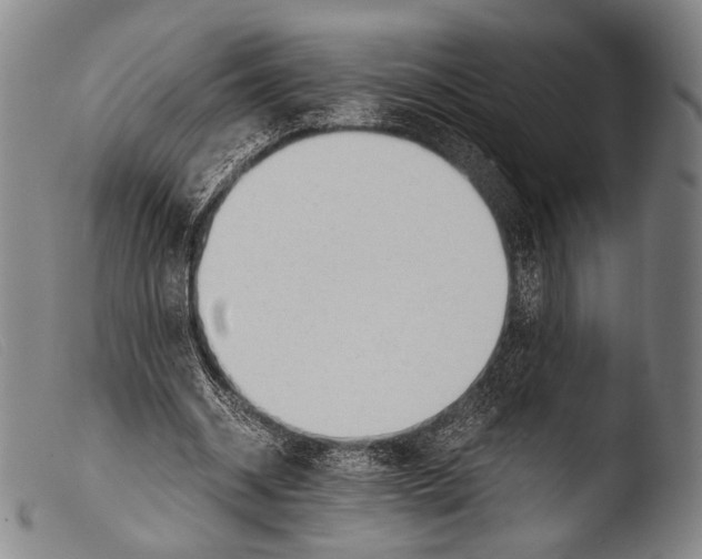 X0000103940534200810311527