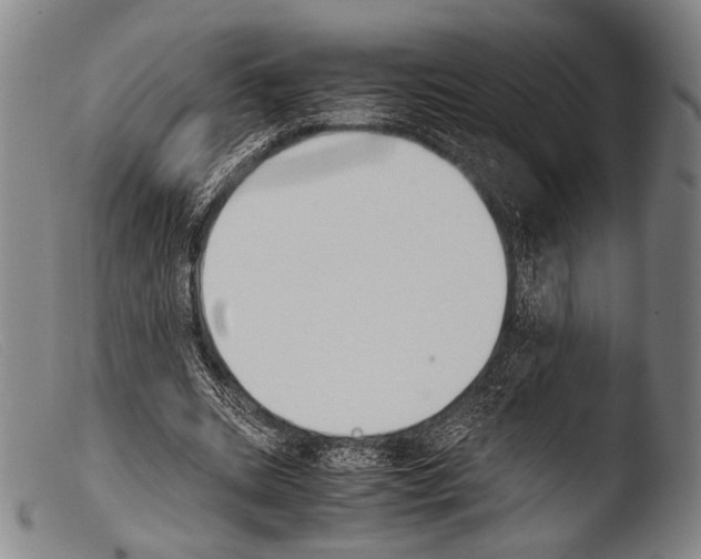 X0000103940535200810311527