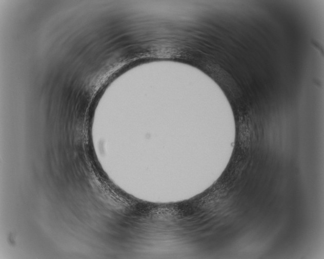 X0000103940536200810311527