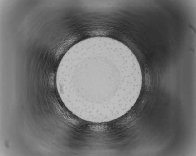 X0000103940537200810311528