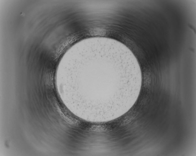 X0000103940538200810311528