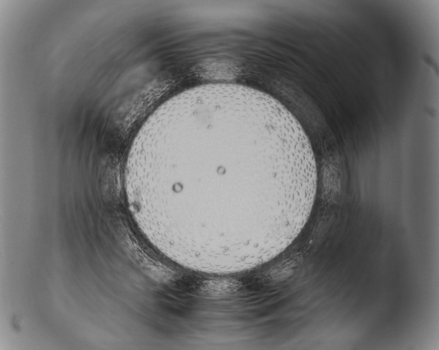 X0000103940541200810311528