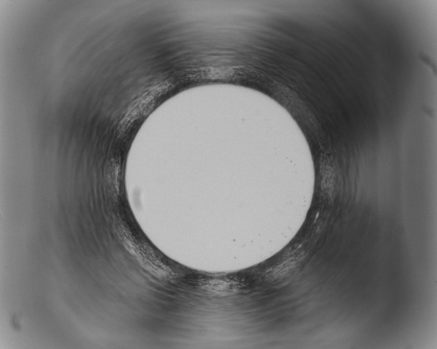 X0000103940542200810311528