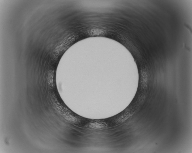 X0000103940545200810311528