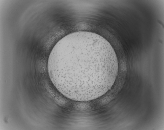 X0000103940546200810311528