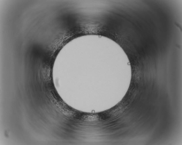 X0000103940548200810311528