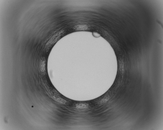 X0000103940549200810311528