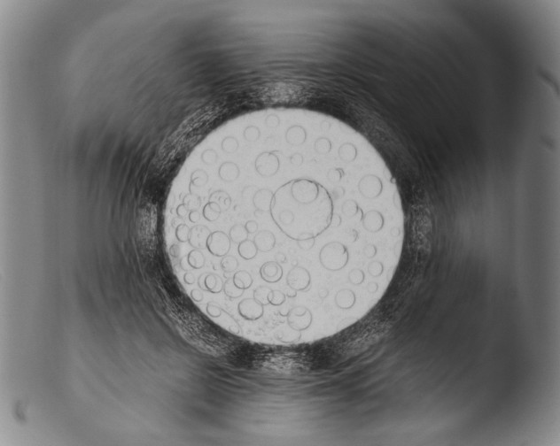 X0000103940550200810311528