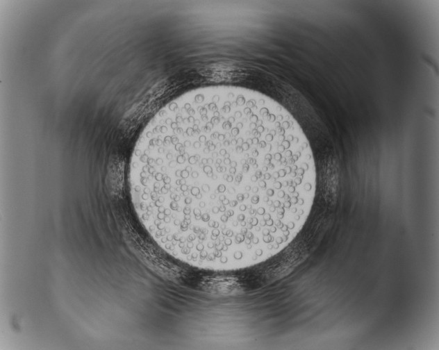 X0000103940554200810311528