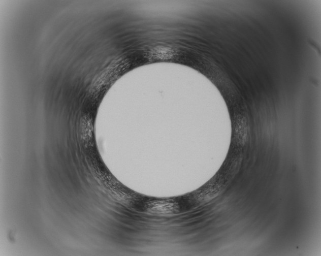 X0000103940555200810311528