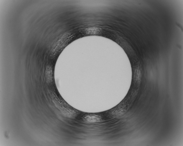 X0000103940557200810311528