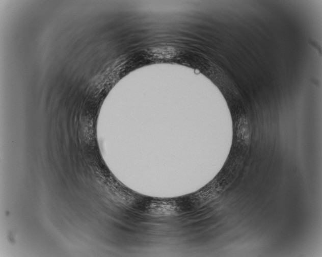 X0000103940559200810311528