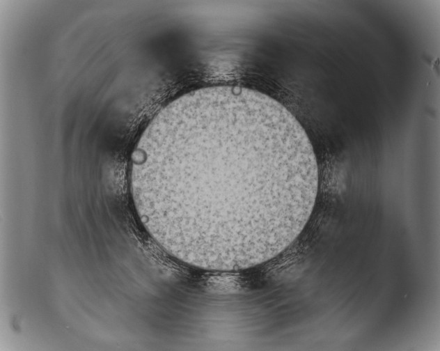 X0000103940560200810311528