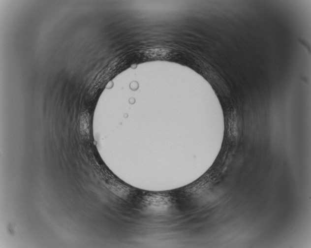 X0000103940561200810311528