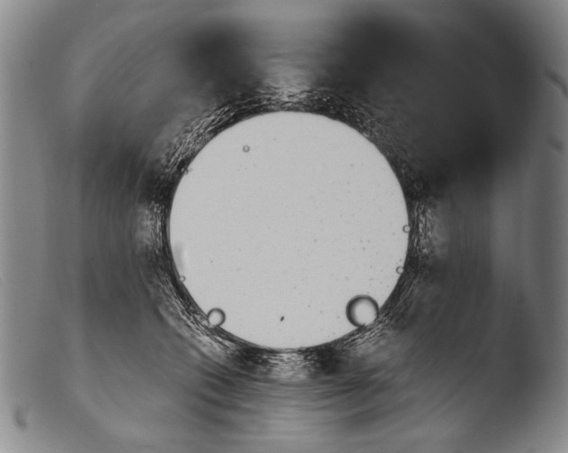 X0000103940562200810311528