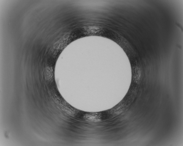 X0000103940563200810311528