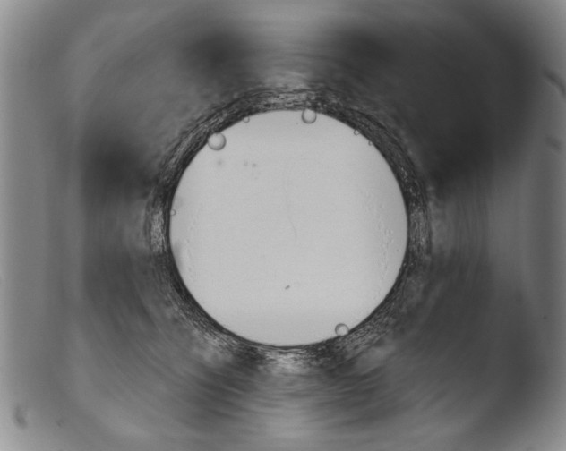 X0000103940564200810311528