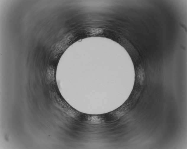 X0000103940565200810311528