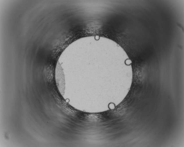 X0000103940566200810311528