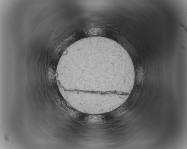 X0000103940569200810311528