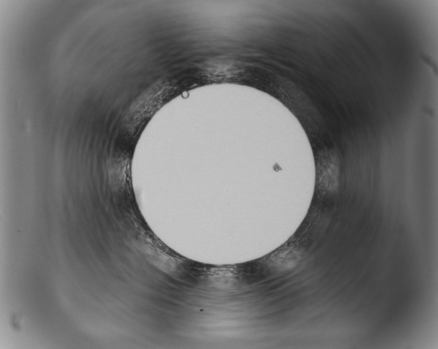 X0000103940574200810311528