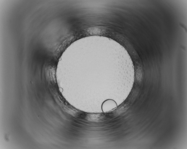 X0000103940575200810311528