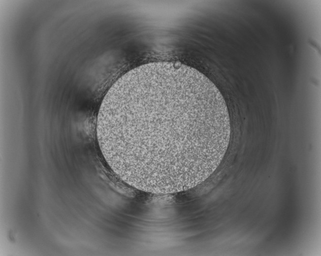 X0000103940576200810311528