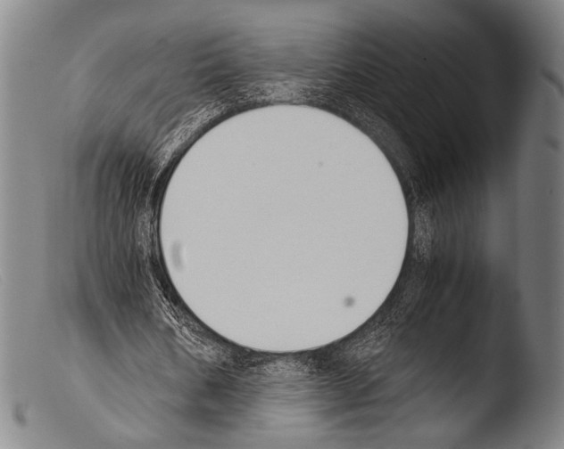 X0000103940578200810311527