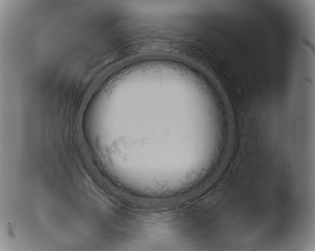 X0000103940579200810311527