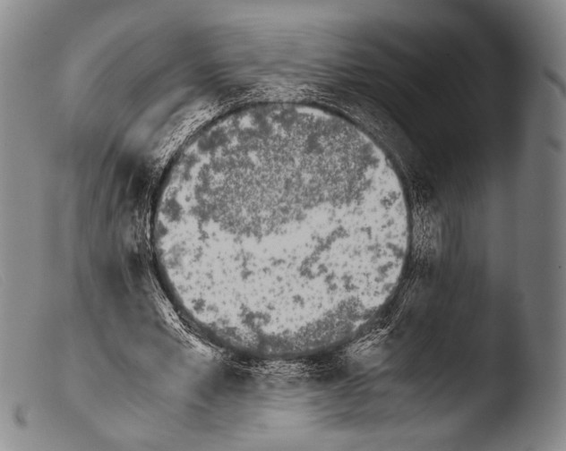 X0000103940581200810311527