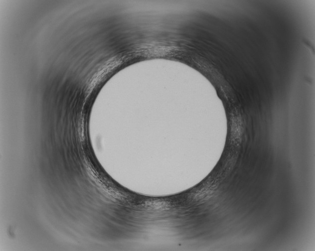 X0000103940582200810311527