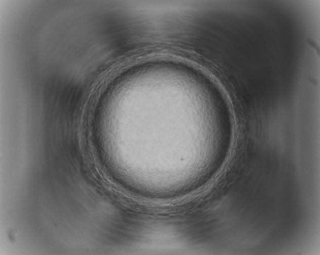 X0000103940583200810311527