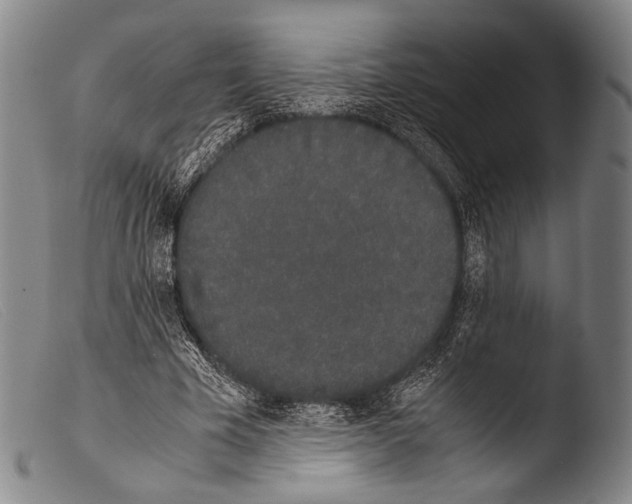 X0000103940585200810311527