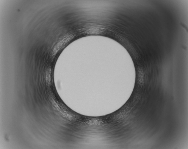 X0000103940586200810311527