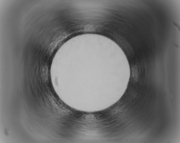 X0000103940588200810311527