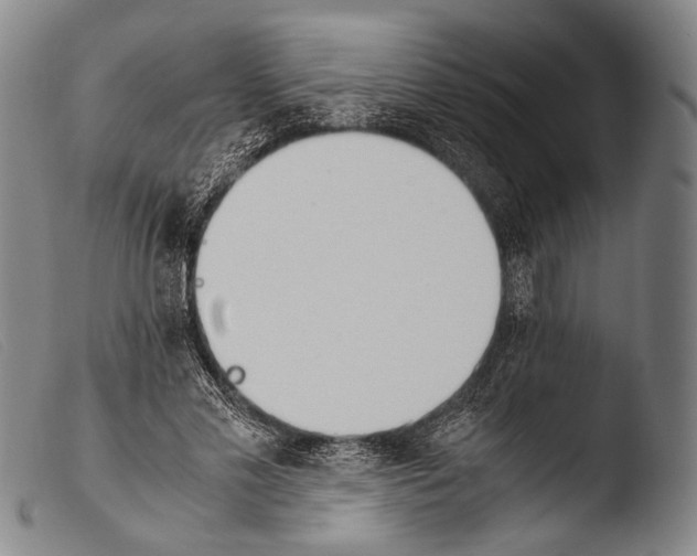 X0000103940589200810311527