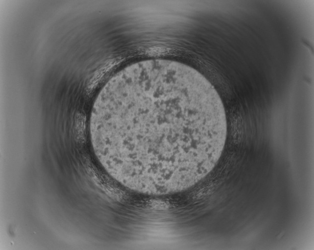 X0000103940592200810311527