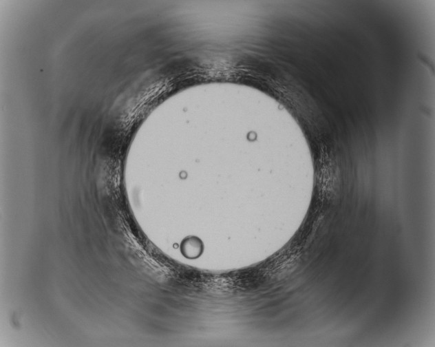 X0000103940593200810311527