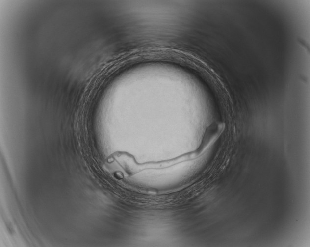 X0000103940595200810311527