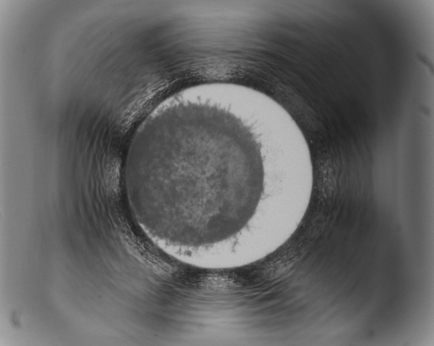 X0000103940596200810311527