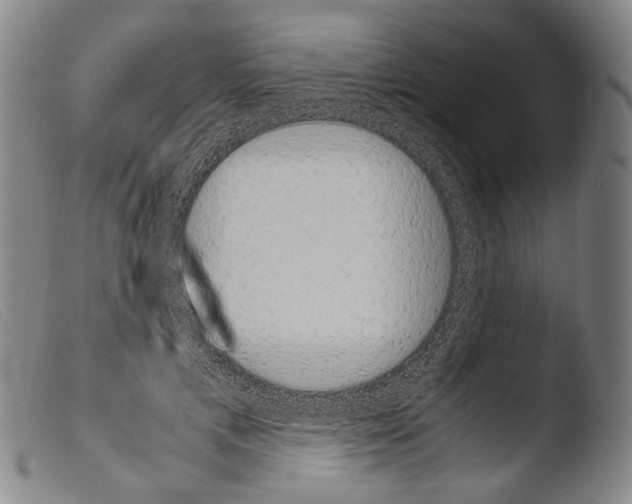 X0000103940597200810311527